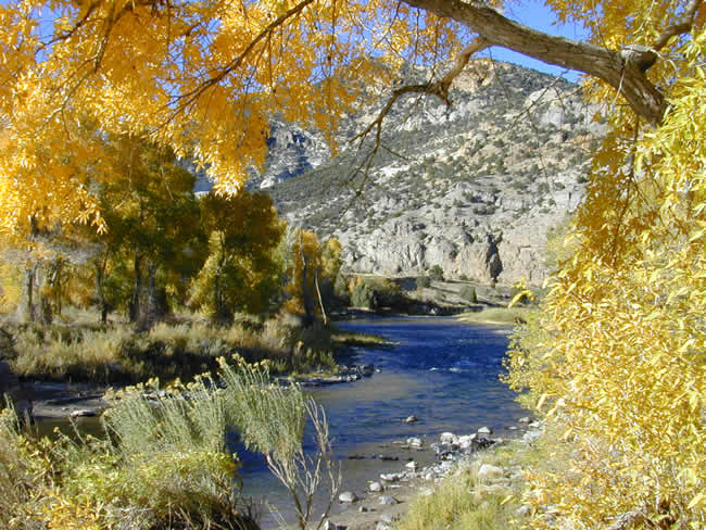 Arkansas River view 