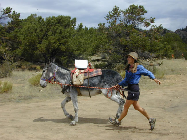 Buena Vista Burro Race - Gold Rush Days