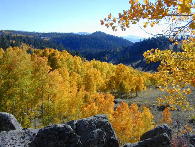 Aspen view