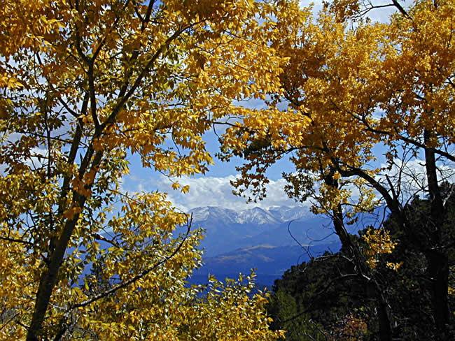 Collegiate Peaks.