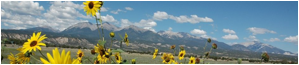 Colorado Mountain Realty